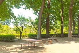 羽根木公園