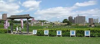 小岩菖蒲園