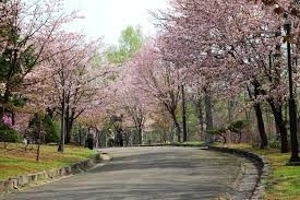 神楽岡公園