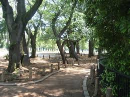 大南公園