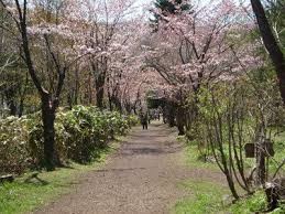 長橋なえぼ公園