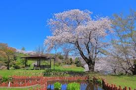 手宮公園
