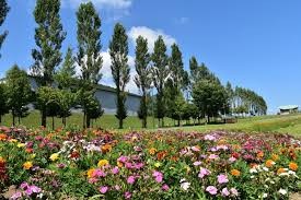 ルスツふるさと公園