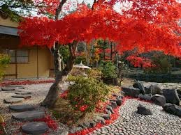 玉泉館跡地公園