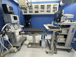 神宮プライズ動物病院