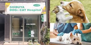 原宿犬猫クリニック