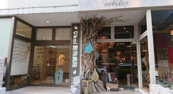 自然療法 佐久平どうぶつ病院