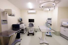 ノルド動物病院