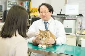 北央どうぶつ病院