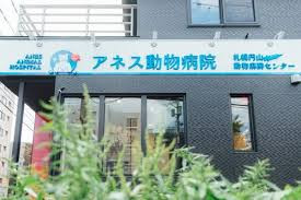 アネス動物病院