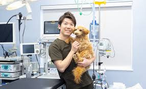 アネス動物病院