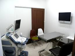 ガーデン動物病院