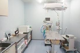 まつい犬猫病院