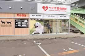 ペテモ動物病院 宮の沢