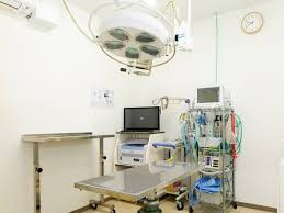 ペテモ動物病院 宮の沢