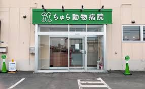 ちゅら動物病院