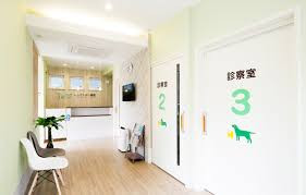 ちゅら動物病院