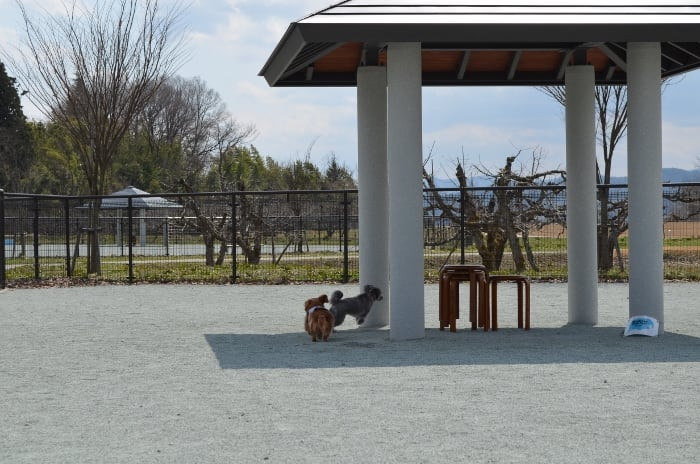 最上川ふるさと総合公園