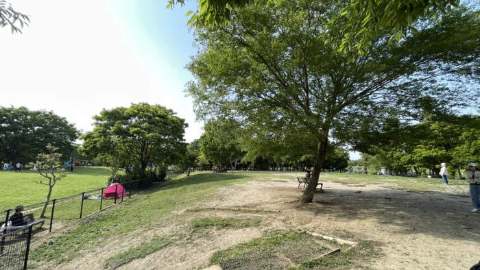 水元公園