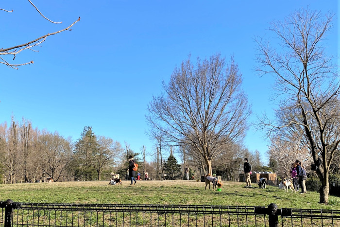 水元公園