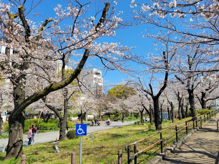台東区立隅田公園