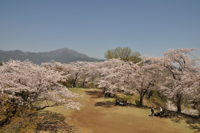 弘法山公園