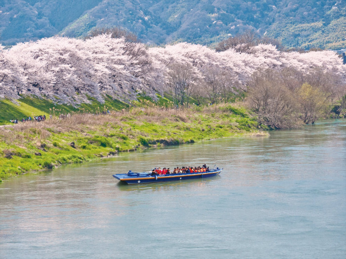 淀川河川公園 背割堤地区
