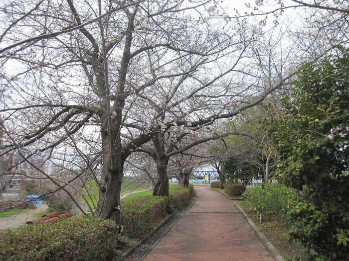 淀川河川公園 長柄地区・長柄河畔地区