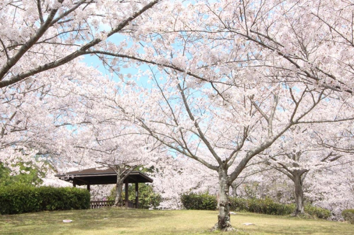 県立淡路島公園