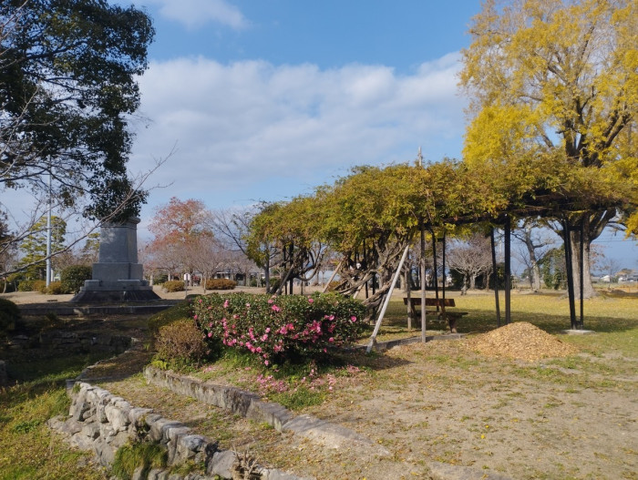 蓮池公園