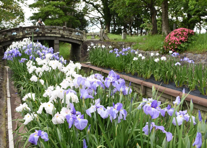 蓮池公園