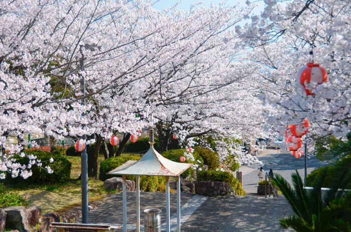 島原総合運動公園