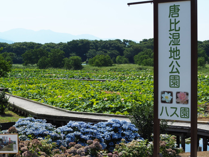 唐比湿地公園