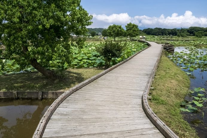 唐比湿地公園