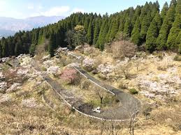 高森自然公園