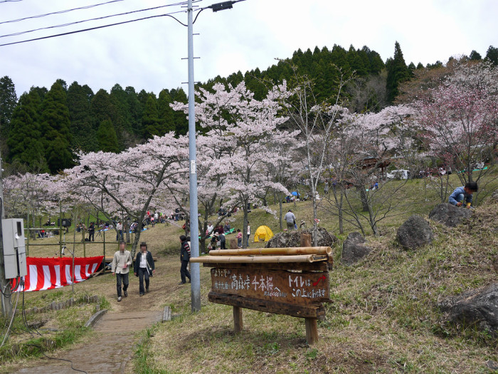 高森自然公園