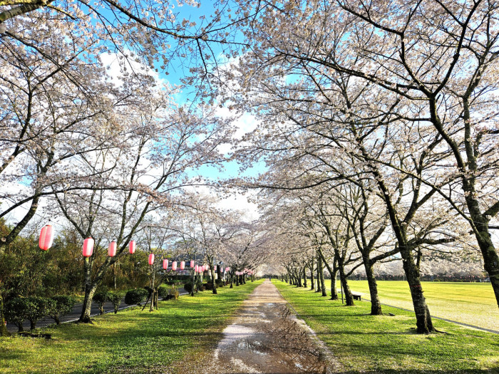 忠元公園