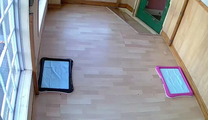 ピーカーブー