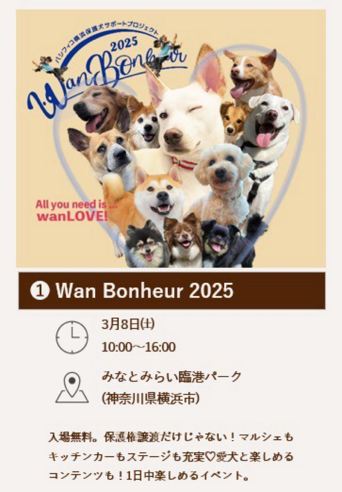 【MYPUPS】公式アカウント