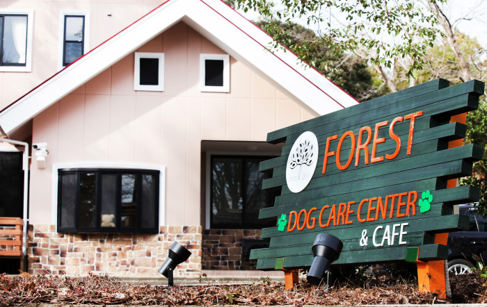 フォレスト ドッグケアセンター