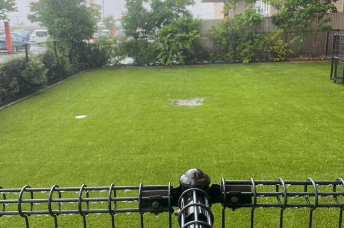 ペテモ越谷レイクタウンmori店