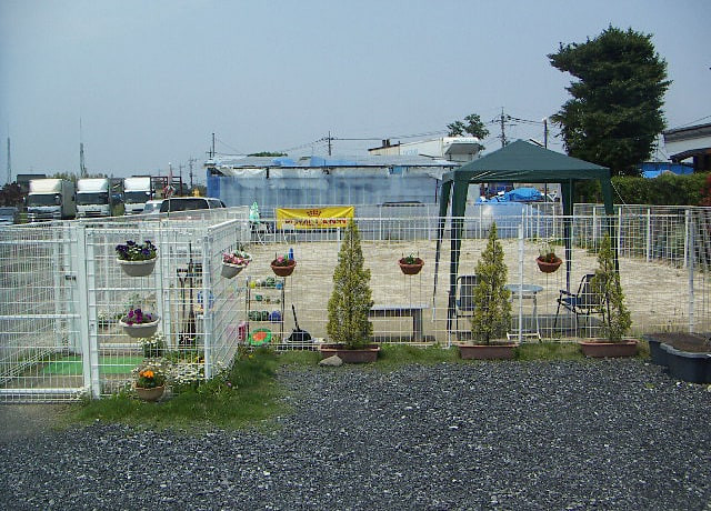 ペテモららぽーと富士見店