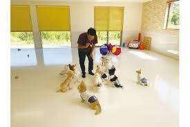 ドッグライフサポートセンターReliSt