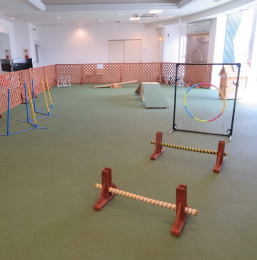 秋田ペット美容学院