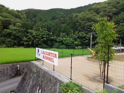 LAUGHTER KENNEL