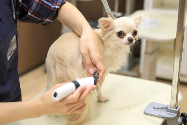 ペテモビアレ横浜店