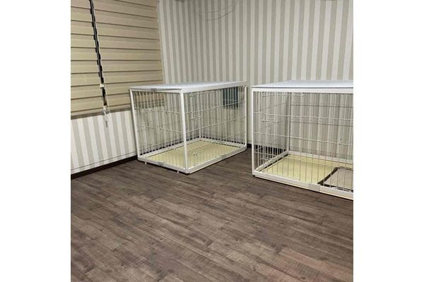 dogsalon wancoco