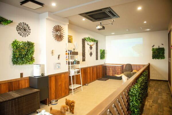 トリミングサロン Lucu