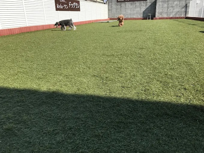 SOPRA GINZA 川島インター店