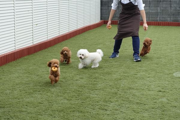 SOPRA GINZA 川島インター店